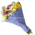 Plastic Flower Packaging Sleeve/Flower Sheet/Flower Sleeve
